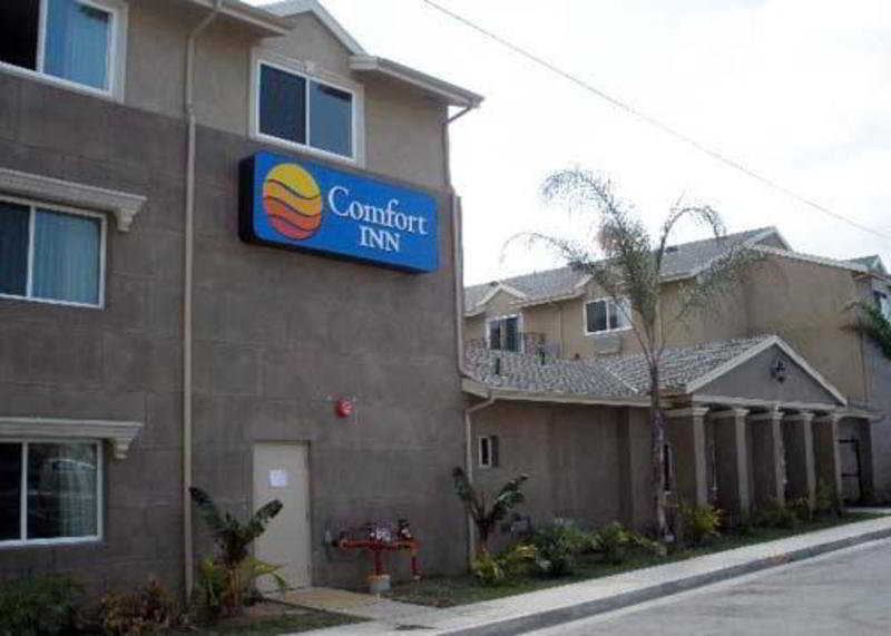 Comfort Inn Cockatoo Near Lax Hawthorne Exteriér fotografie